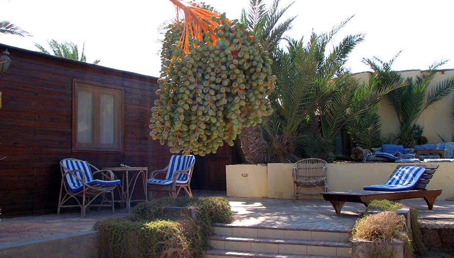 Dolphin Camp Blockhütte