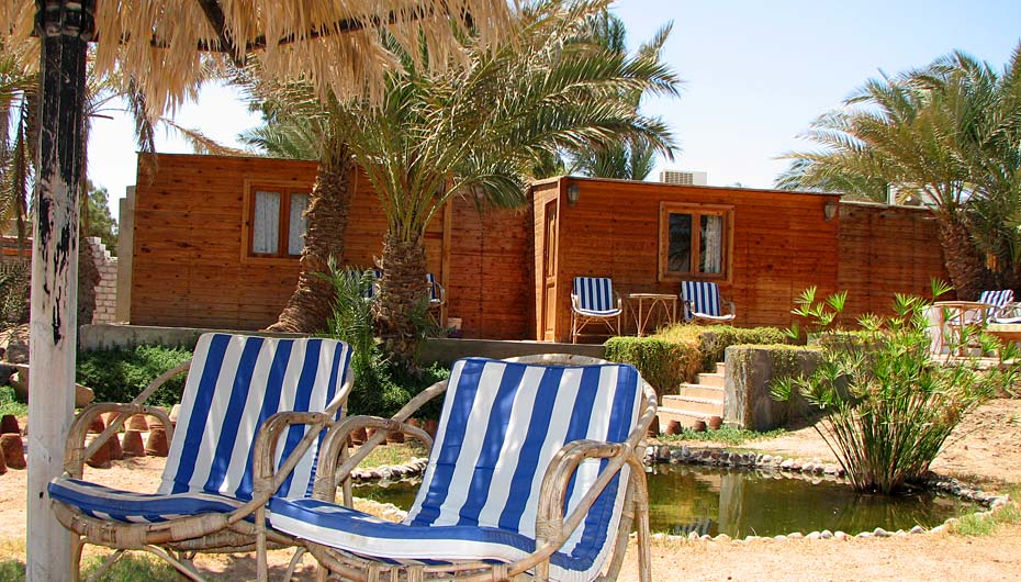 Dolphin Camp Blockhütte