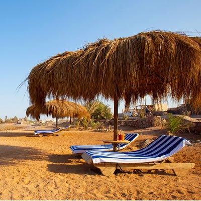 aanbieding Bedouin Moon