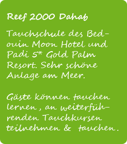 Reef 2000 Dahab