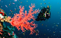 Tauchen in Dahab